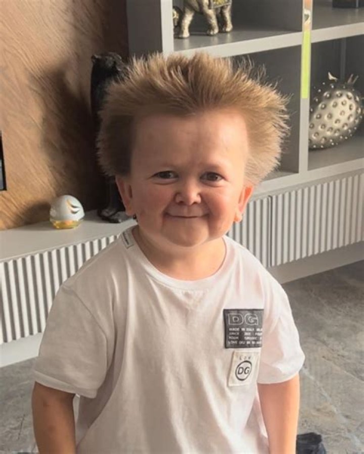 Unveil The Enigmatic 