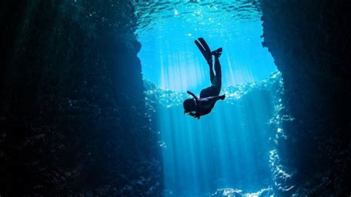 An Age, Wiki, And Biography Deep Dive