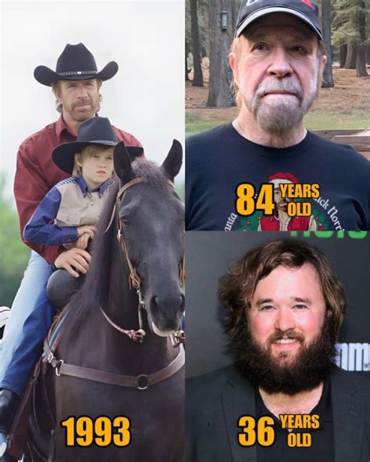 Chuck Norris's Health And Legacy Unraveled