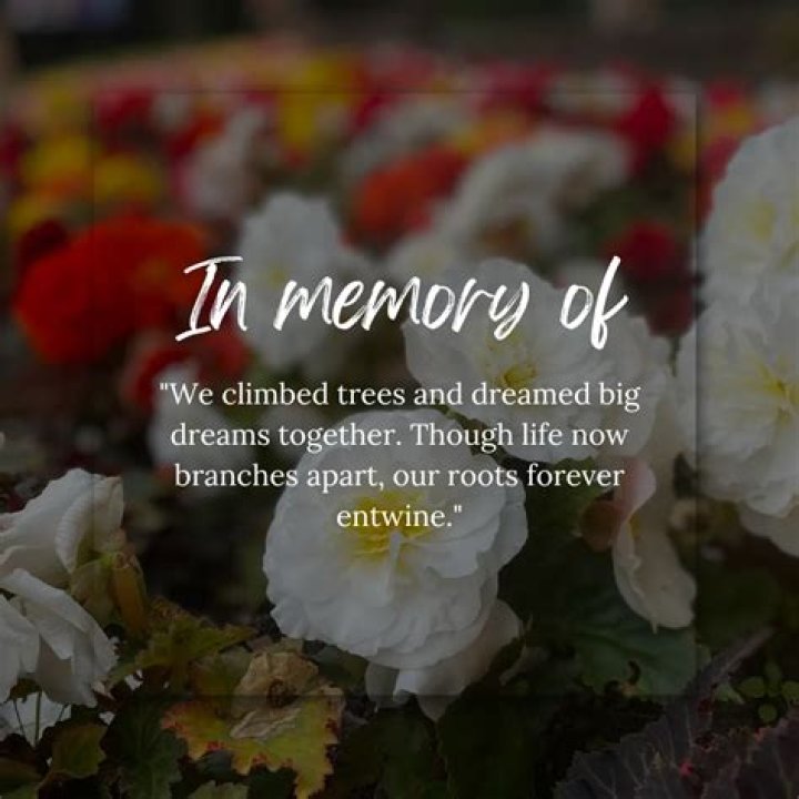 Discover Profound Remembrance Quotes For Immortalized Memories