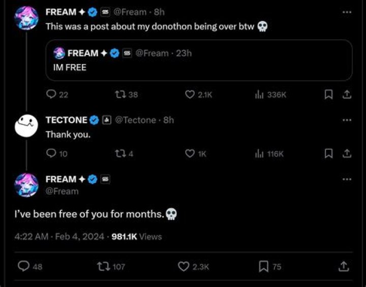 Here’s The Untold Truth We Know About Tectone’s Wife, Fream