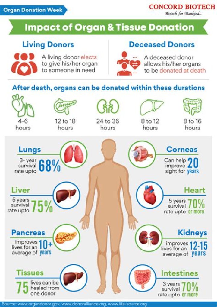Insights Into Organ Donation And Saving Lives