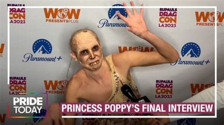 Insights Into The Littleprincesspoppy Leak