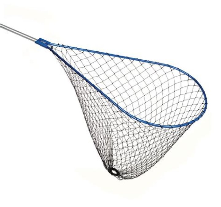 A Look Into His Wealth