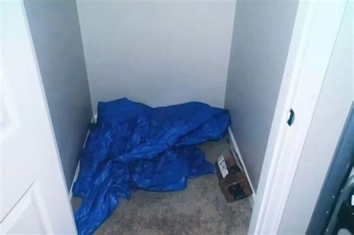 Uncovering Insights Into Shanda Vander Ark Crime Scene Photos