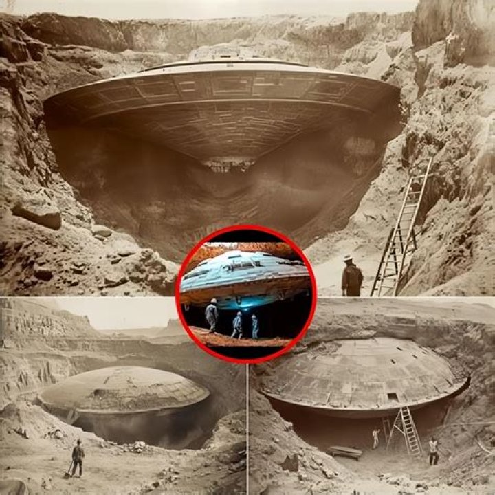 Surprising Insights And Romantic Explorations