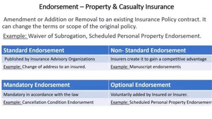Uncovering Performance And Endorsement Value