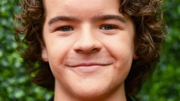 Unveiling The Intriguing Medical Journey Of Gaten Matarazzo