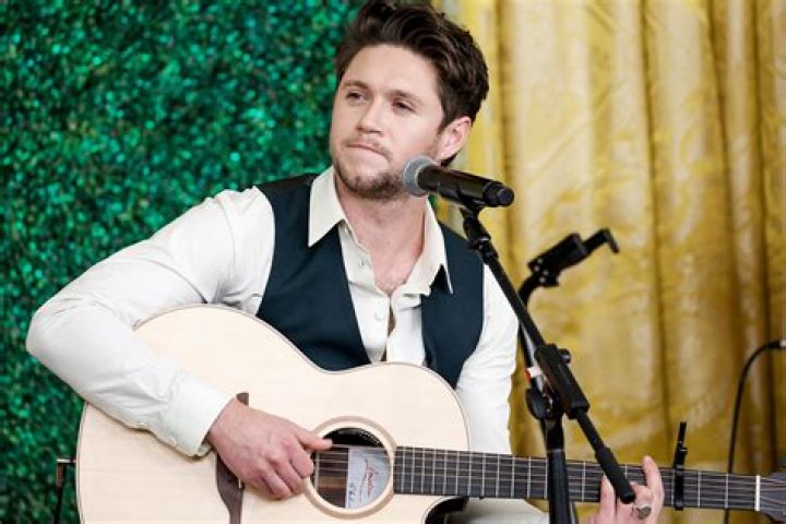 Unveiling The Origins Of Niall Horan: Discoveries And Insights