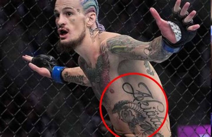 Why Sean O'Malley's Tattoo Disappeared