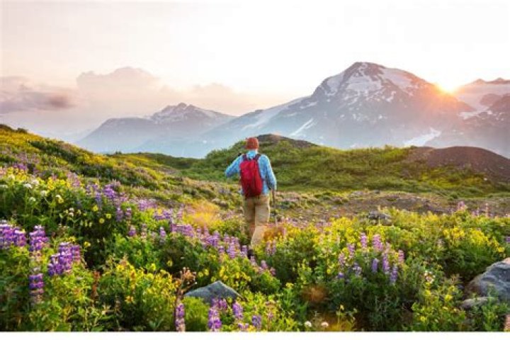 Your Guide To Active Exploration